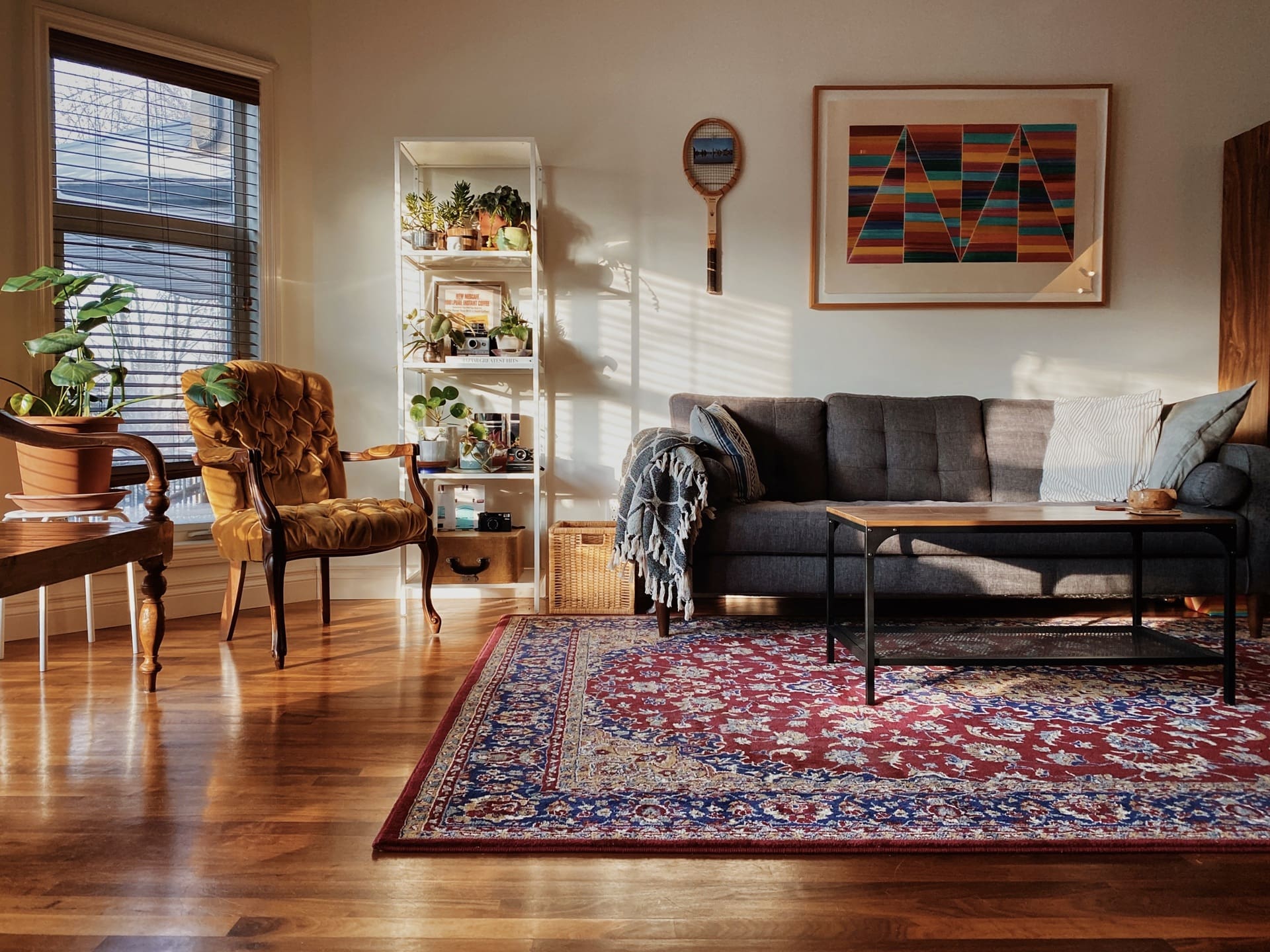 A sunlit living room with a gray sofa, coffee table, patterned rug, armchair, potted plants, shelving unit, framed art, and a vintage tennis racket on the wall.